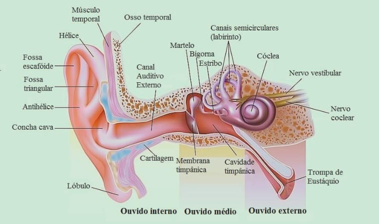 Otite média aguda em crianças